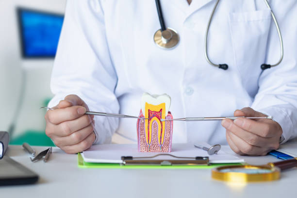Best Emergency Dental Care for Trauma or Injury in Monahans, TX